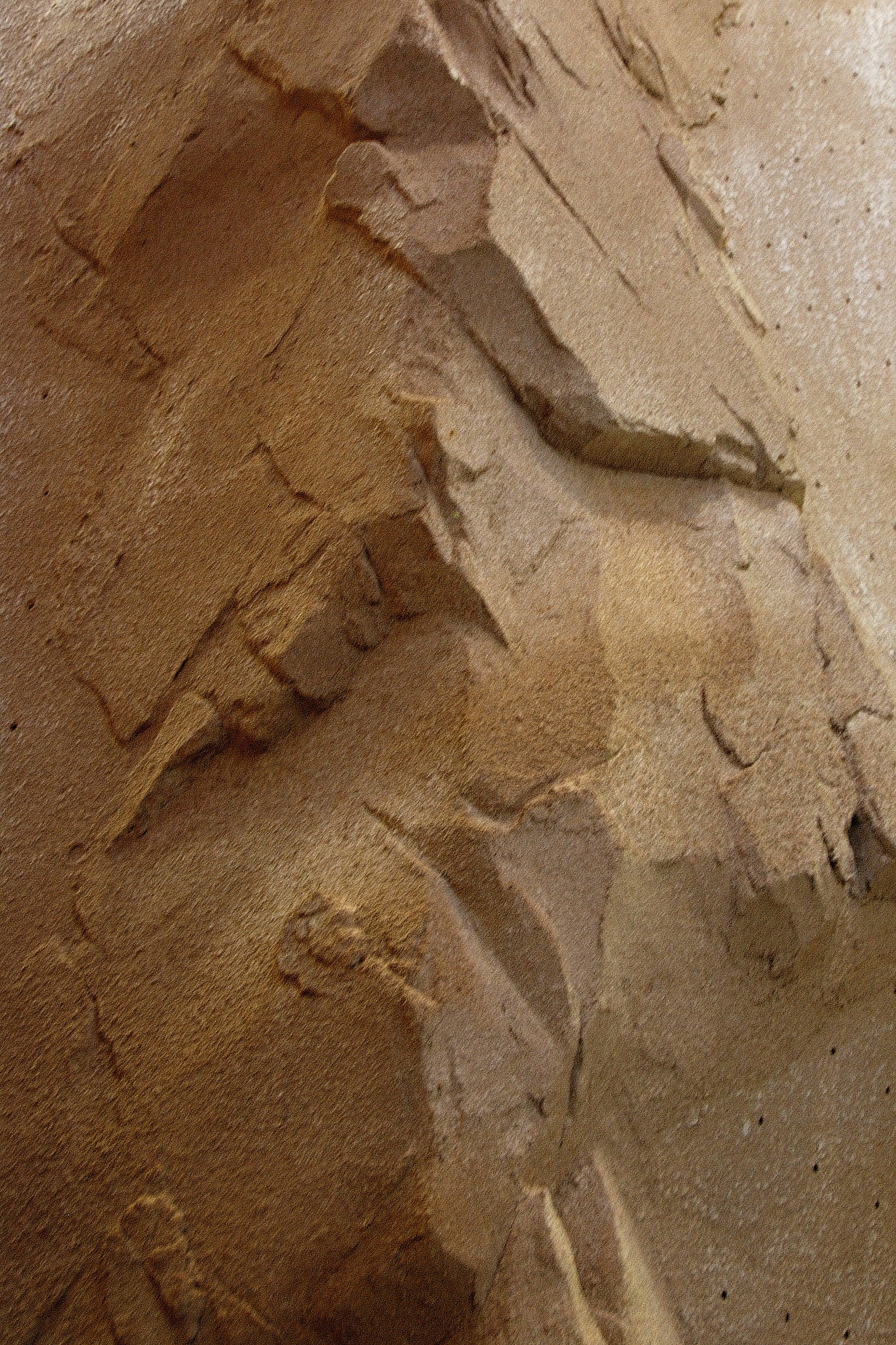 Hand-sculpted realistic rock texture on StoneCraft climbing wall